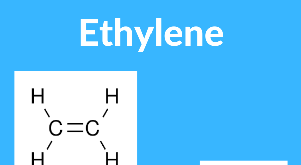 US Ethylene prices continue their upward trajectory amidst Exxon’s plans to shut down its largest refining facility